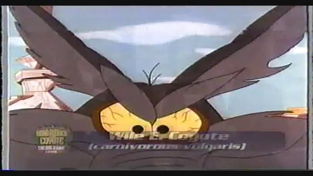The Big Game XXVIII - Road Runner Vs Wile E. Coyote (2000) смотреть онлайн