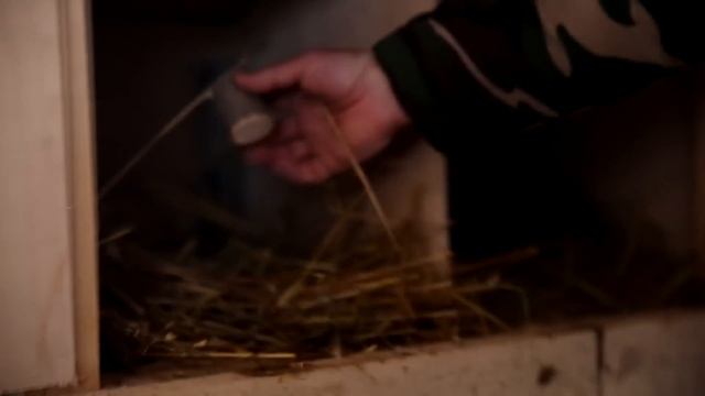 Электрический звездопад