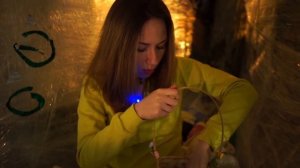 НОЧЬ В доме из Пленки КРАСНАЯ ВОДА ЧТО ТО СЛУЧИЛОСЬ На ДЕРЕВЕ | Elli Di