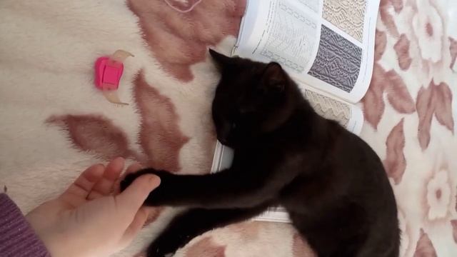 Вязовлог. Ещё один процесс.Нафанька вяжет. смотреть онлайн