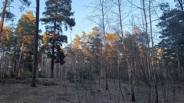 Этот стих вам укажет правильный путь в жизни!!! смотреть онлайн