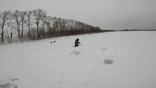 Озеро Надежды | Рыбалка в Котласе | В поиске пиписечного окуня| Диалоги о Рыбалке | смотреть онлайн