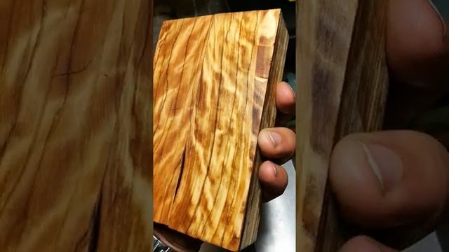 Оливковое дерево корень комель древесина смотреть онлайн