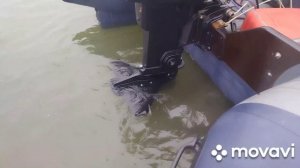 пвх флагман 420 катамаран  гидрокрыло