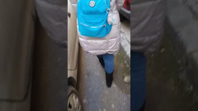Зажравшиеся турецкие кошки. смотреть онлайн
