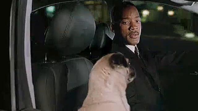 MiB Собака Стрелец смотреть онлайн