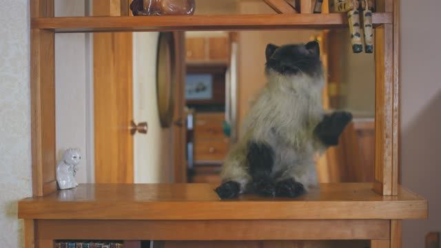 DIVINE - YOU THINK YOU'RE A MAN (DANCE VIDEOMIX CAT- CUT)