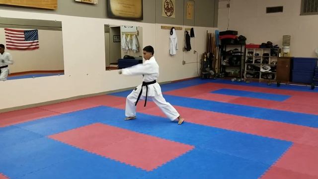 Shotokan Karate Training Video Corpus Christi Downtown Karate 4 Corner Drill 1 смотреть онлайн