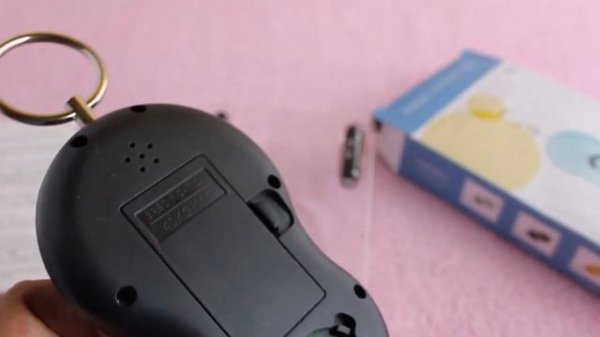 Portable Electronic Scale