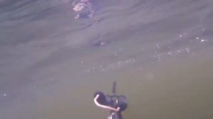 Подводная охота на Москва реке! Охота в камнях!