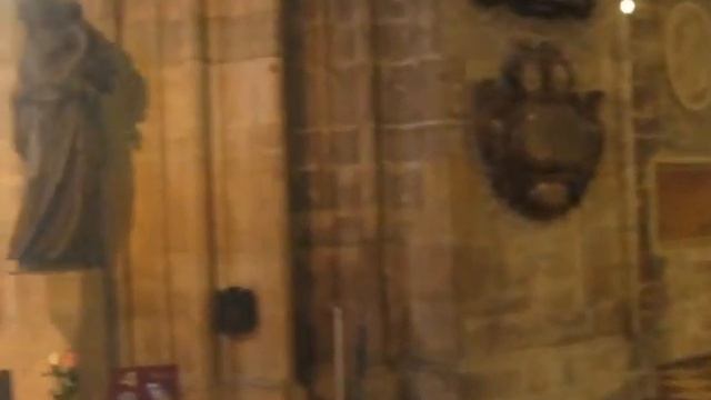 Stephansdom Wien (St. Stephen´s Cathedral Vienna) - A Beautiful Moment