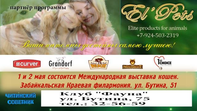 интернет зоомагазин 2 смотреть онлайн