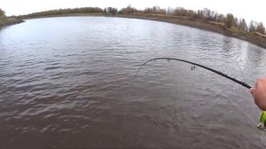 Ловим на мандулу#Осенняя щука и  налим.