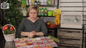 Годеция ? Цветы - уход и выращивание из семян ?  сад и огород с  hitsadtv