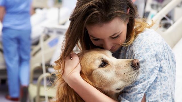 КЕМ РАБОТАЮТ СОБАКИ? | ПРОФЕССИИ СОБАК смотреть онлайн