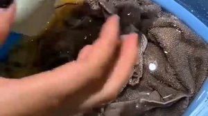 Самоочистку стиральной машины делаю 4 или 6 раз в год  Результат удивляет   стиралка  чистая