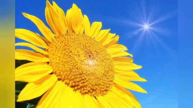 Не хватает энергии? Зарядись солнышком! Медитация 19 аркан. Солнце смотреть онлайн