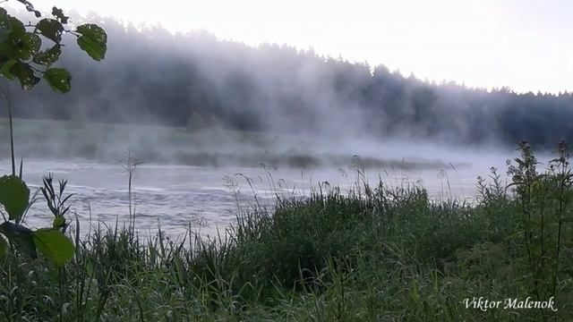 Beautiful nature and live sounds of the river murmuring in the morning with a fog over the water смотреть онлайн