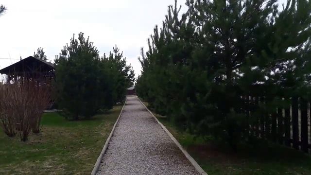 Участок Сосновый аромат