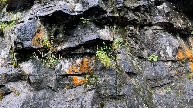 No.1 A Minor Waltz? - ? Esther Abrami ? смотреть онлайн