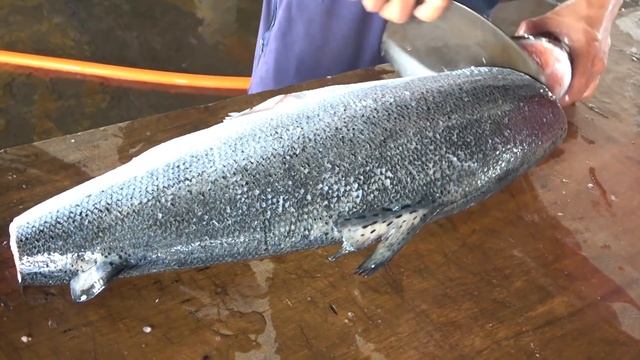 The Sharpest Knife In The World /  Handmade Knife (Detailed Video Of Taiwanese Tuna Knife Making)