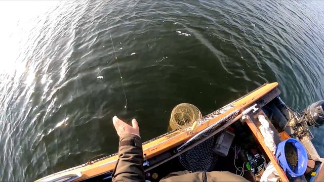 Последняя рыбалка перед ЗАПРЕТОМ ( КОНСЕРВА ) смотреть онлайн