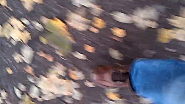 Наверно так ходят все смотреть онлайн