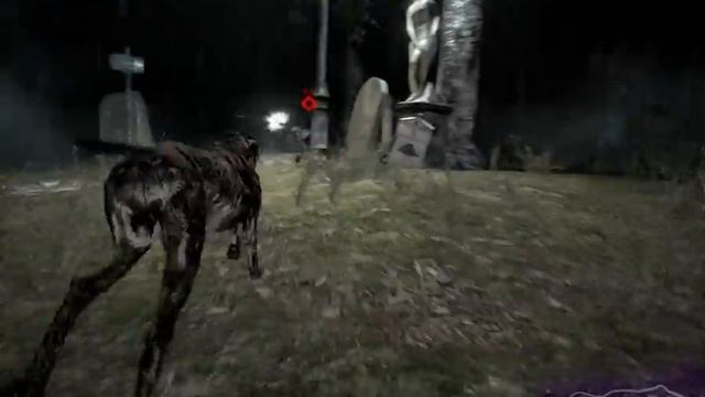 Resident evil 6 Agent Hunt vs cheater choni смотреть онлайн