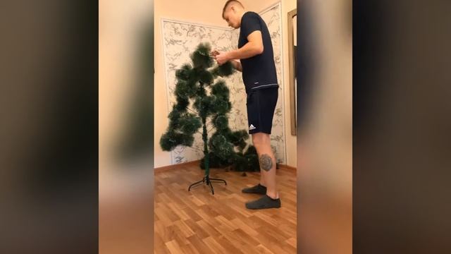 Сбор Елки 1 смотреть онлайн