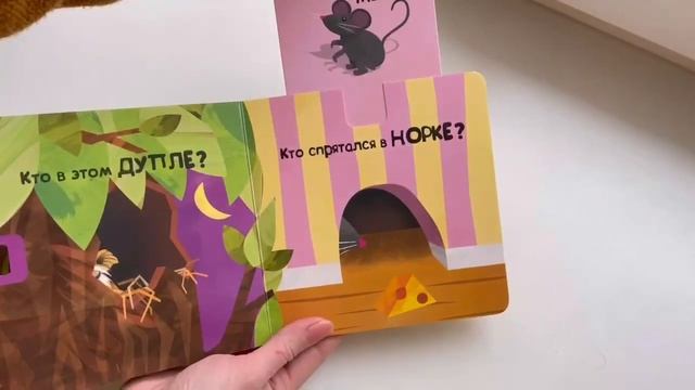 Детская книжка-сюрприз "Угадай кто... В НОРЕ?". Краткий обзор смотреть онлайн