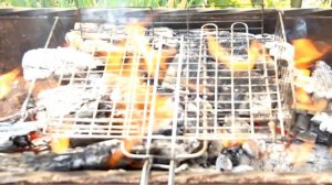 Как  почистить решетку для гриля.  Как быстро почистить решетку гриль от жира и нагара.