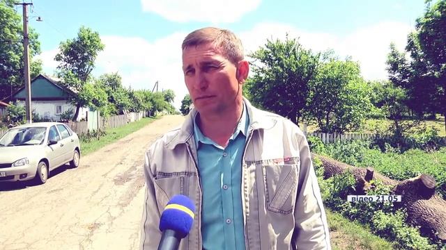 УЖАС НА УКРАИНЕ. МАССОВЫЕ ОТРАВЛЕНИЕ ПЧЕЛ!