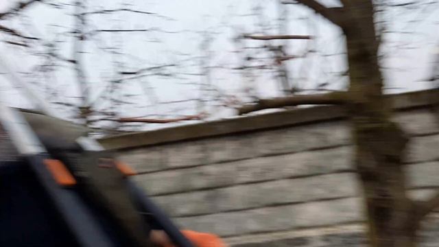 Как обрезкой удержать грушу в заданных габаритах смотреть онлайн