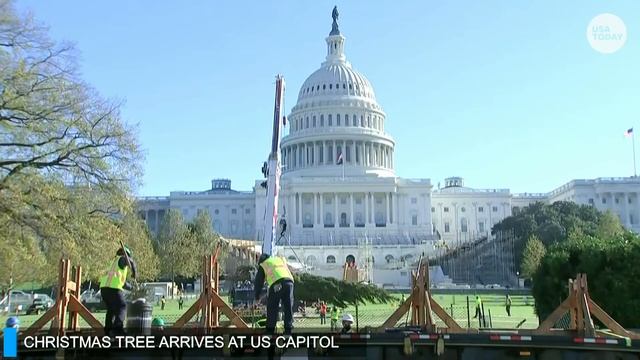 The Capitol Christmas Tree arrives in Washington, D.C. | USA TODAY смотреть онлайн