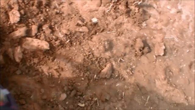 Весенний поиск монет.ОТКРЫТИЕ СЕЗОНА 2015(металлоискатель Беркут 5) смотреть онлайн