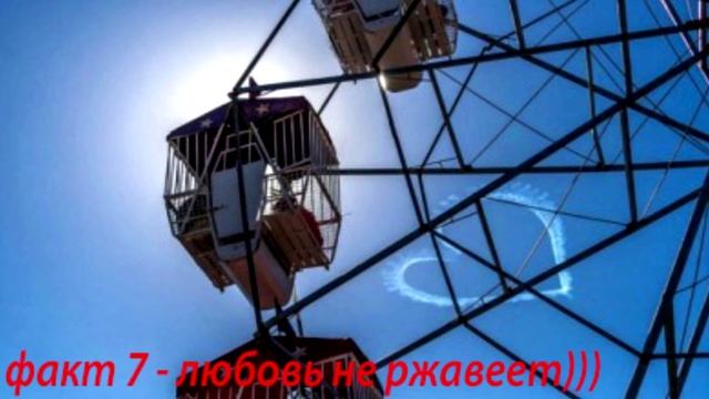 Интересные факты о свадьбах ( и немного юмора)! смотреть онлайн