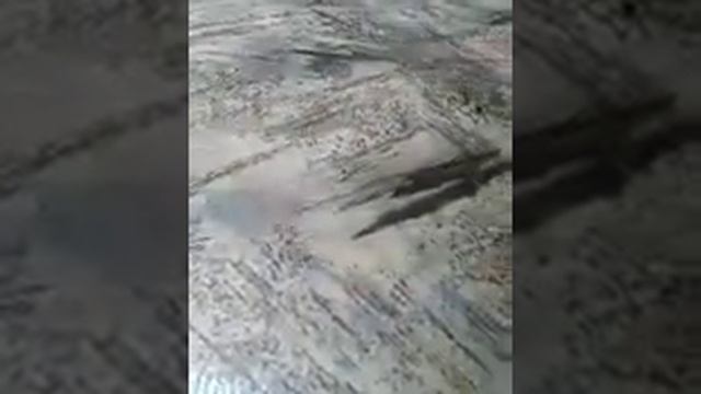 Способы быстро выучить уроки смотреть онлайн