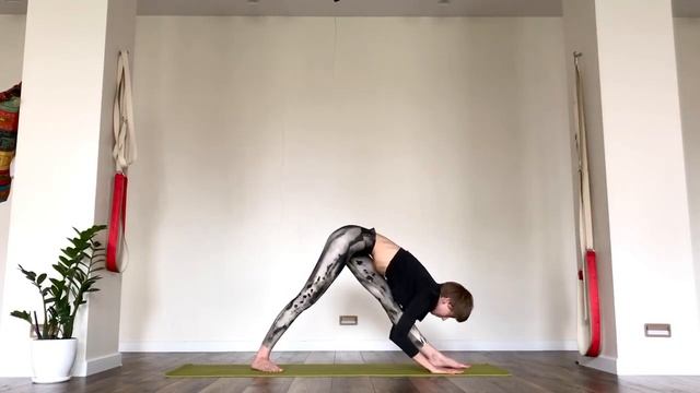 Хатха-йога для начинающих с Маргаритой Добровольской смотреть онлайн