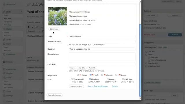 Video Tutorial: Add an image in a WordPress Page or Post смотреть онлайн