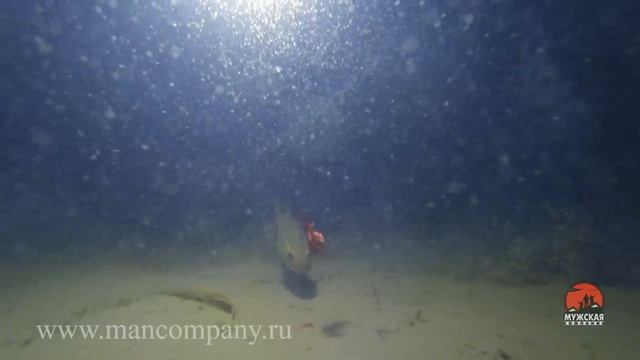 Ловля ротана подводные съемки смотреть онлайн