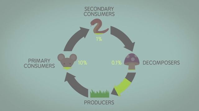 A guide to the energy of the Earth - Joshua M. Sneideman смотреть онлайн