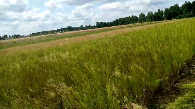 Т-25 та роторна косарка Z178 смотреть онлайн