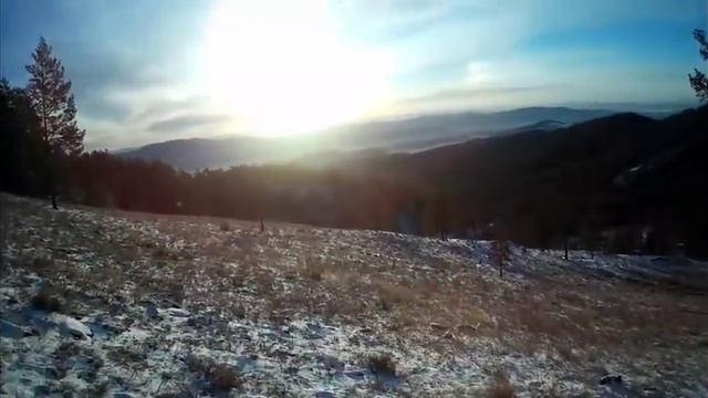 ОХОТА С ПОДХОДА НА СИБИРСКУЮ КОСУЛЮ смотреть онлайн