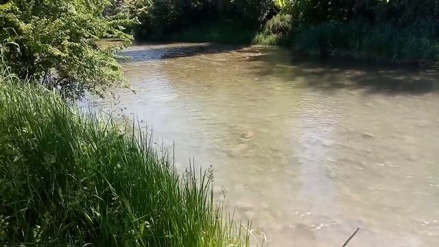 Рыбные места, прогулка по реке биюк-карасу - первая часть 29 мая 2022 г. смотреть онлайн