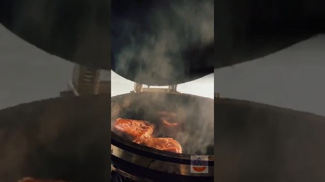 Керамический гриль Monolith Junior смотреть онлайн