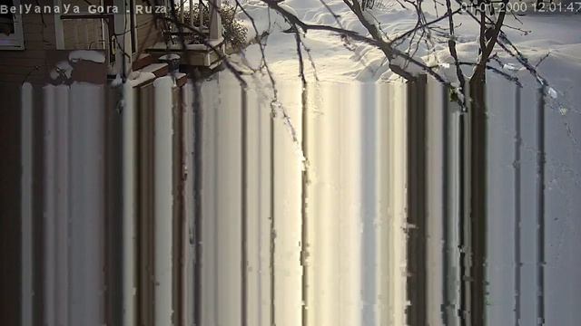 Winter birds' feeder. Moscow region. Кормушка для птиц Беляная Гора Московской области смотреть онлайн