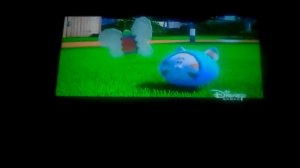 Пёс по кличке Пэт