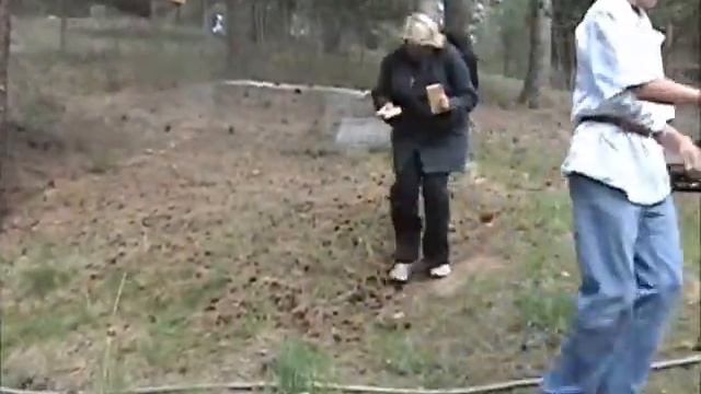 GAWAIN AND THE GREEN KNIGHT traveling scene with Monty python horse смотреть онлайн