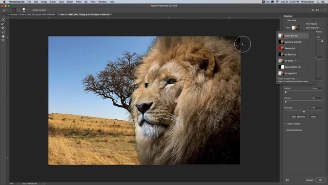 Edge Selection Brush: Photoshop CC 2018 Improvements смотреть онлайн