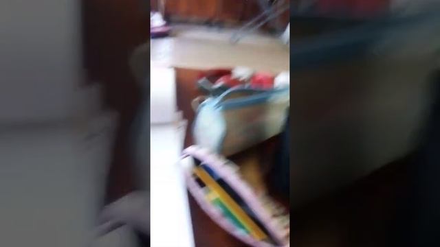 рисуем маленький рисунок легко и быстро. ???